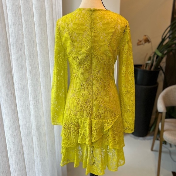 BCBGMAXAZRIA Embroidery Flower Lace Dress - Picture 2 of 12